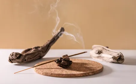 Các loại nhang nụ