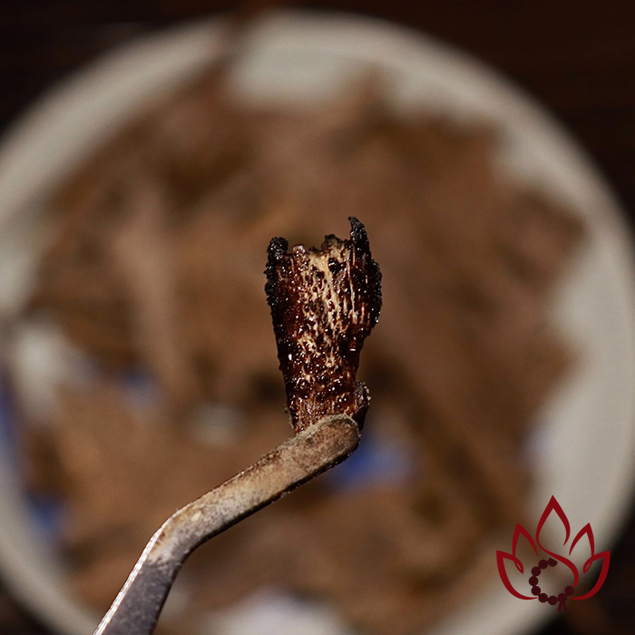 Trầm Kiến Miếng Xông Đốt Tự Nhiên | 100 gram | Loại Lựa Cao Cấp