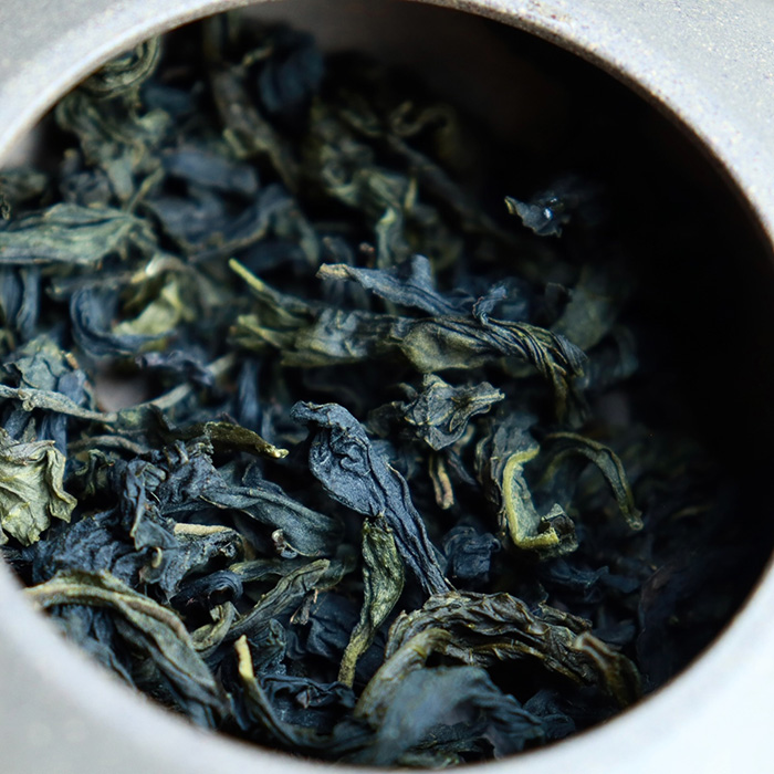 pha-tra-van-son-bao-chung (1).jpg