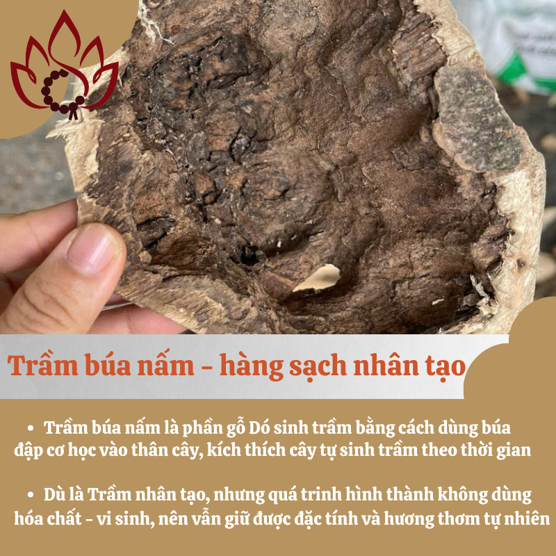 tram-bua-nam.jpg