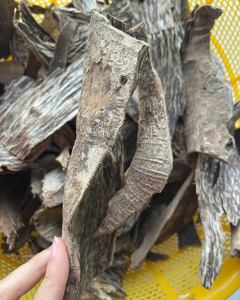 tram-bi-re-chua-tia-lop-vo-cay (1).jpg